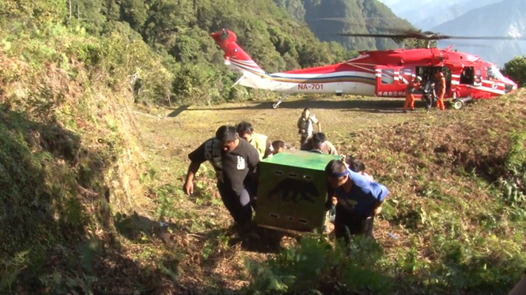 ▲空勤總隊辛苦帶南安小熊回家，但黑鍋也得一肩扛起。（圖／空勤總隊提供, 2019.4.30）