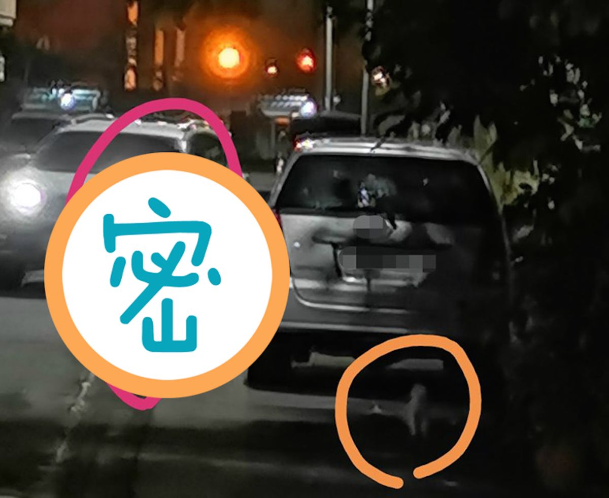 ▲原 PO 目擊一名女飼主出門溜狗卻沒有牽繩，氣得 PO 文公審飼主，照片曝光卻讓網友看了紛紛歪樓。（圖／翻攝自爆怨公社）