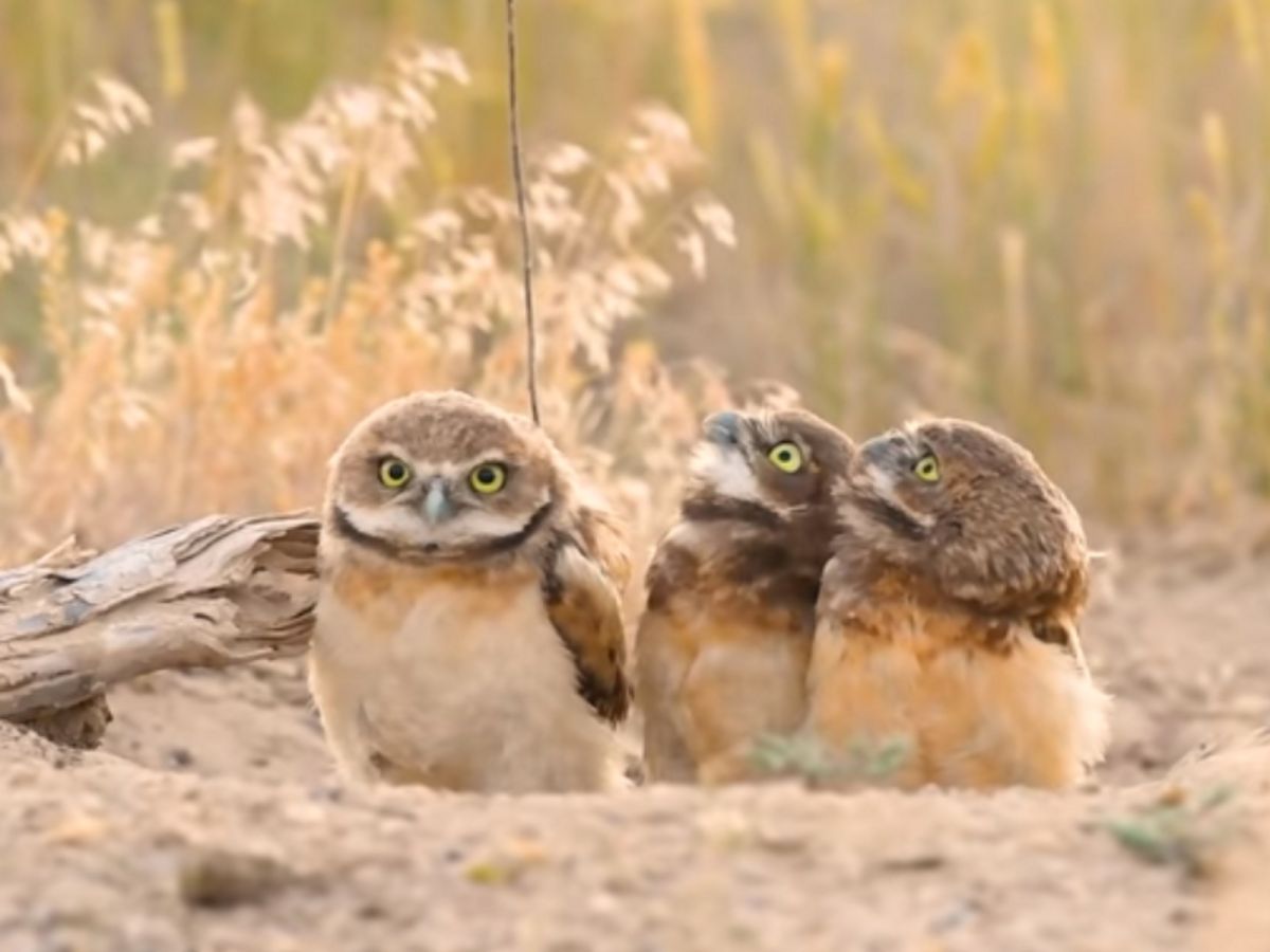 （圖／IG@lydebug）