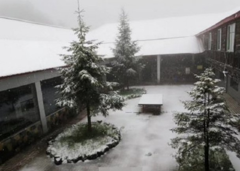 ▲儘管已進入夏天，但中國大陸多個地區卻下起5月雪，滿天雪花猶如冬天再臨。（圖／翻攝網路）