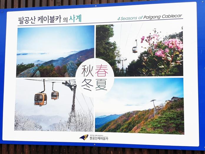 ▲南韓大邱八公山四季都有不一樣的美景。（圖／記者許家禎攝，2019.4.25）