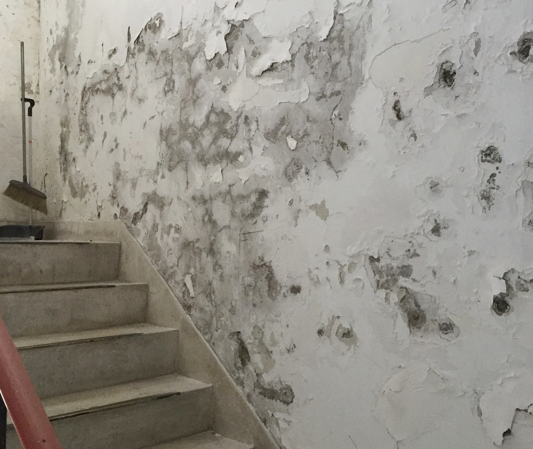 壁癌若重新粉刷裝潢，一般人很難發現。（圖／金新工程提供）