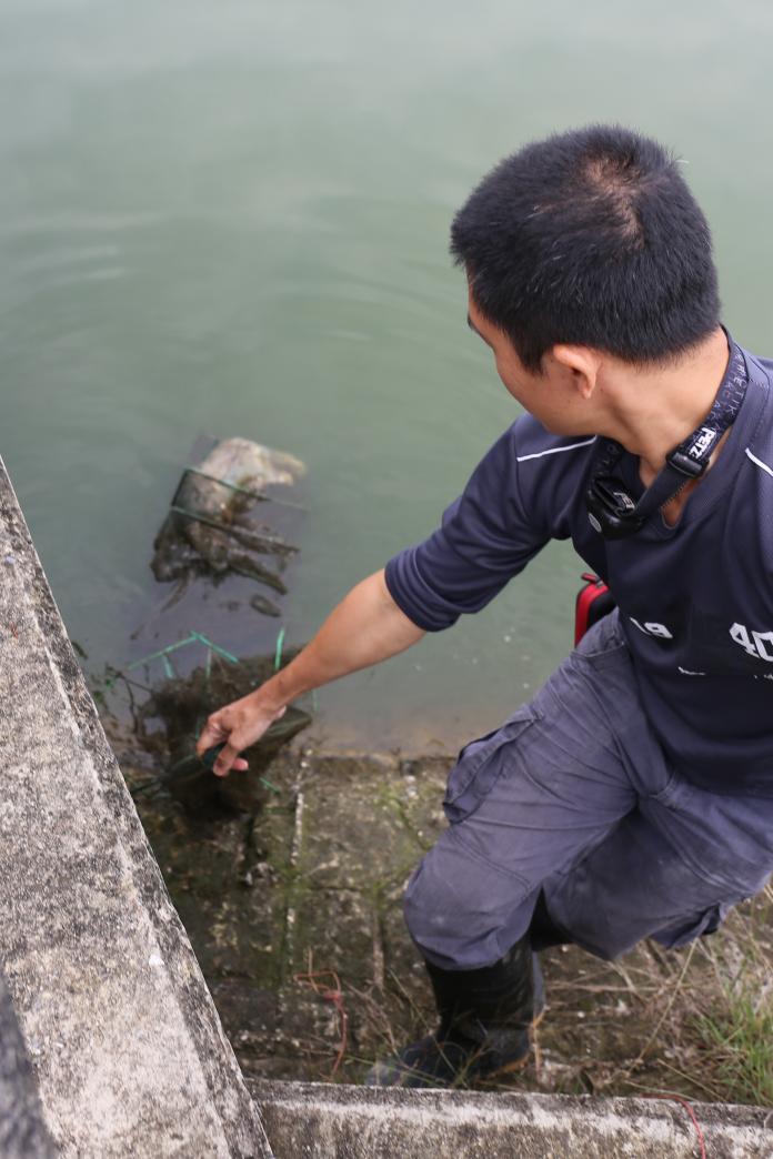 台北市立動物園研究人員梁彧禎協助撈起網具