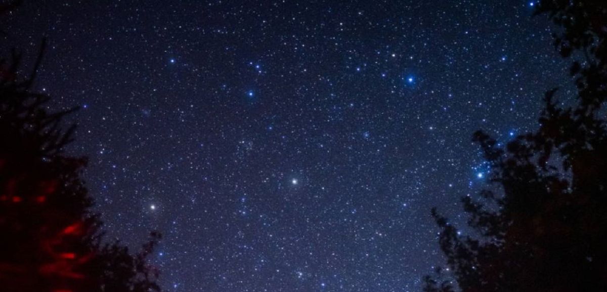 ▲林務局辦天文活動，將在阿里山上讓大家享受銀河星際的浩瀚。（圖／記者陳惲朋翻攝）