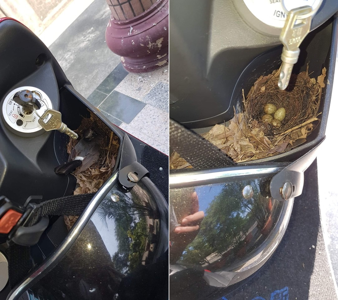 ▲車停一周被「這家人」霸佔還生4個　他傻眼：會不會太扯（圖／翻攝自爆廢公社, 2019.05.15）