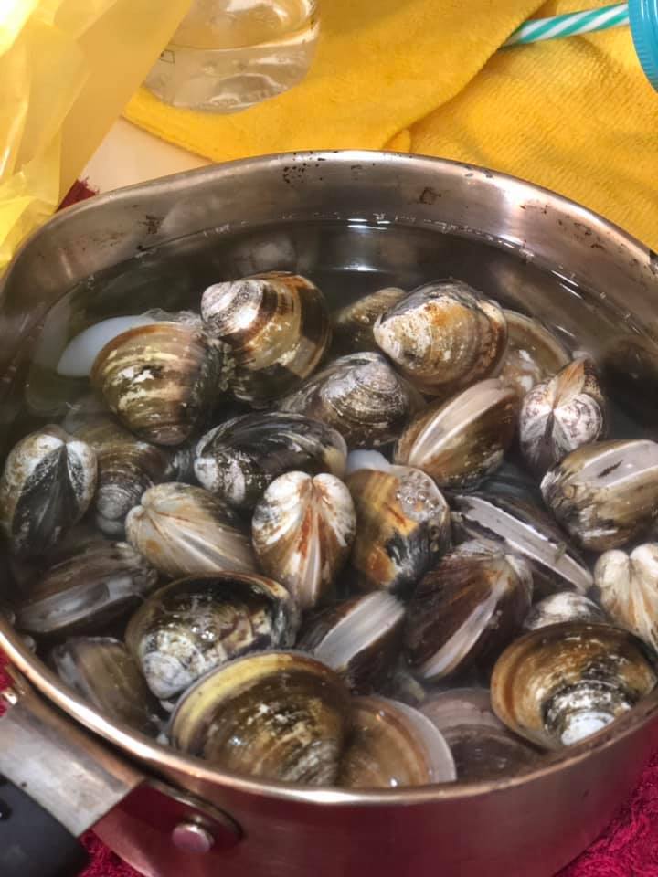 ▲台灣人超愛吃海產，其中鮮甜的蛤蜊更是不少家庭的首選食材。（示意圖／翻攝自「Costco好市多 商品經驗老實說」）