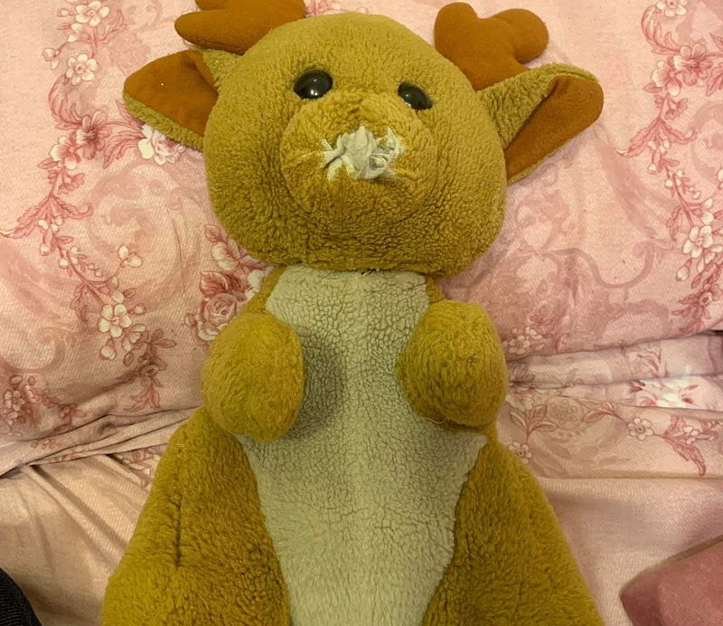 ▲「小鹿娃娃」伴妻12年變這樣　他想換新被狂勸：千萬別！（圖／翻攝自爆廢公社, 2019.05.17）