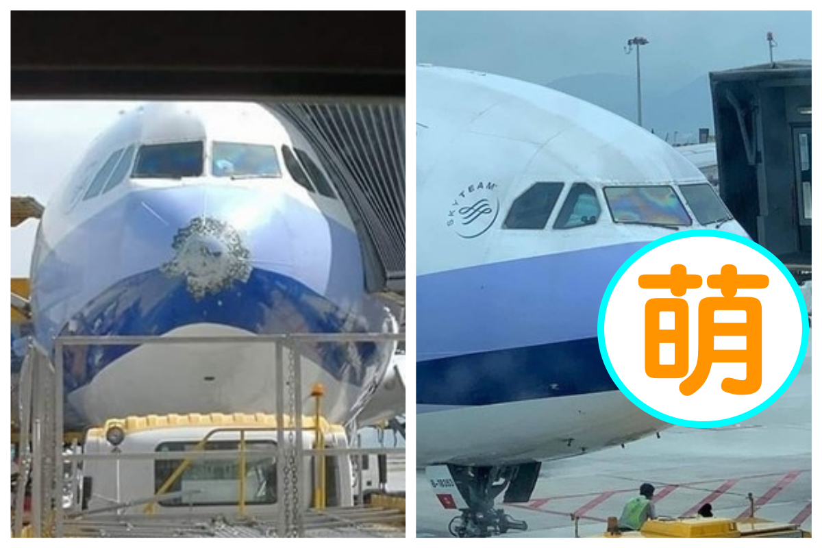 ▲華航向國泰「借機鼻」，混搭的配色讓網友都笑翻，狂讚：「好可愛！」（圖／翻攝自 PTT）