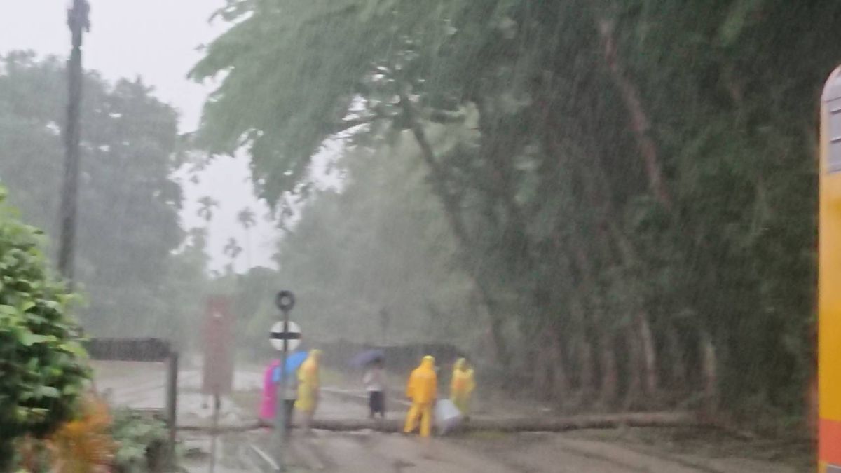 ▲鋒面逐漸南移，中部地區今（ 20 ）日中午開始出現驚人雨勢，部分路段陸續傳出淹水災情，台鐵集集線也因路樹傾倒，目前只能行駛到濁水站。（圖／台鐵）