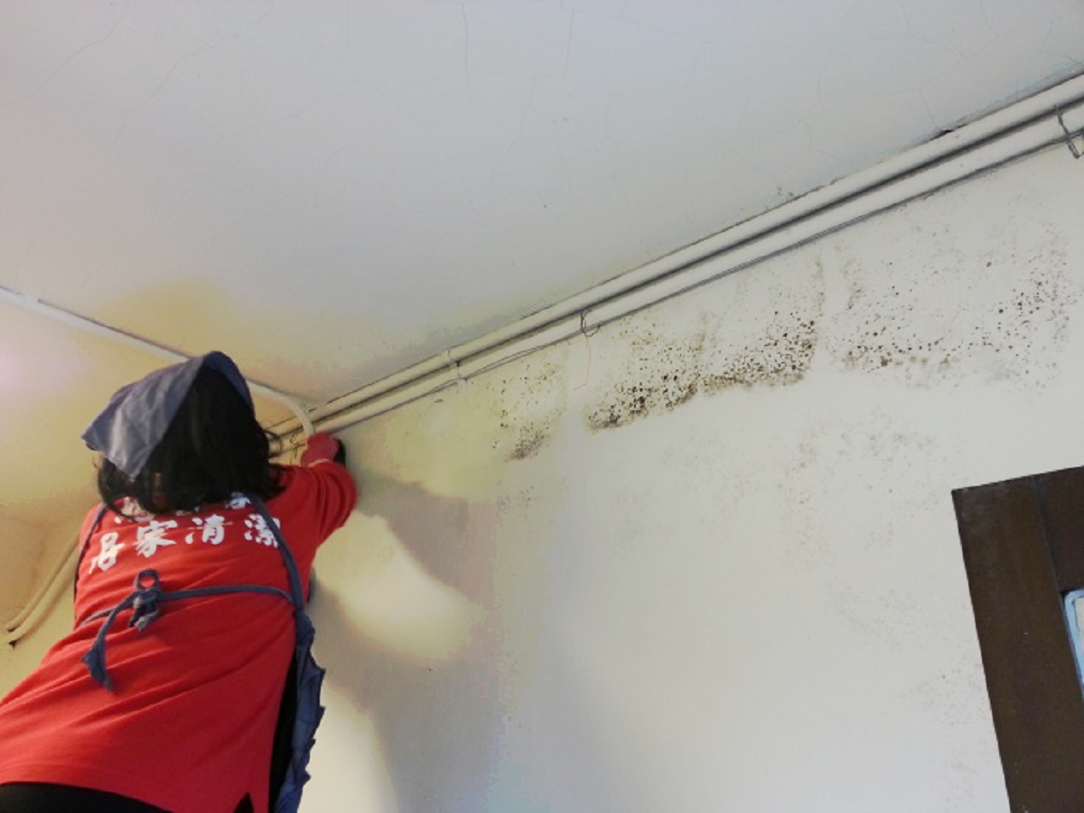 梅雨季看屋，發現牆面有發霉水痕，意味未來恐有漏水疑慮。（圖／總管家清潔公司提供）