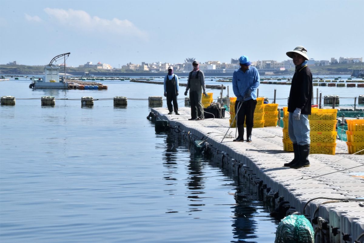 ▲澎湖縣政府推出海洋活化三部曲，清除海底覆網，輔導養殖業者符合環保規範，讓澎湖海洋恢復生機與活力。（圖／記者張塵攝，2019.05.20）