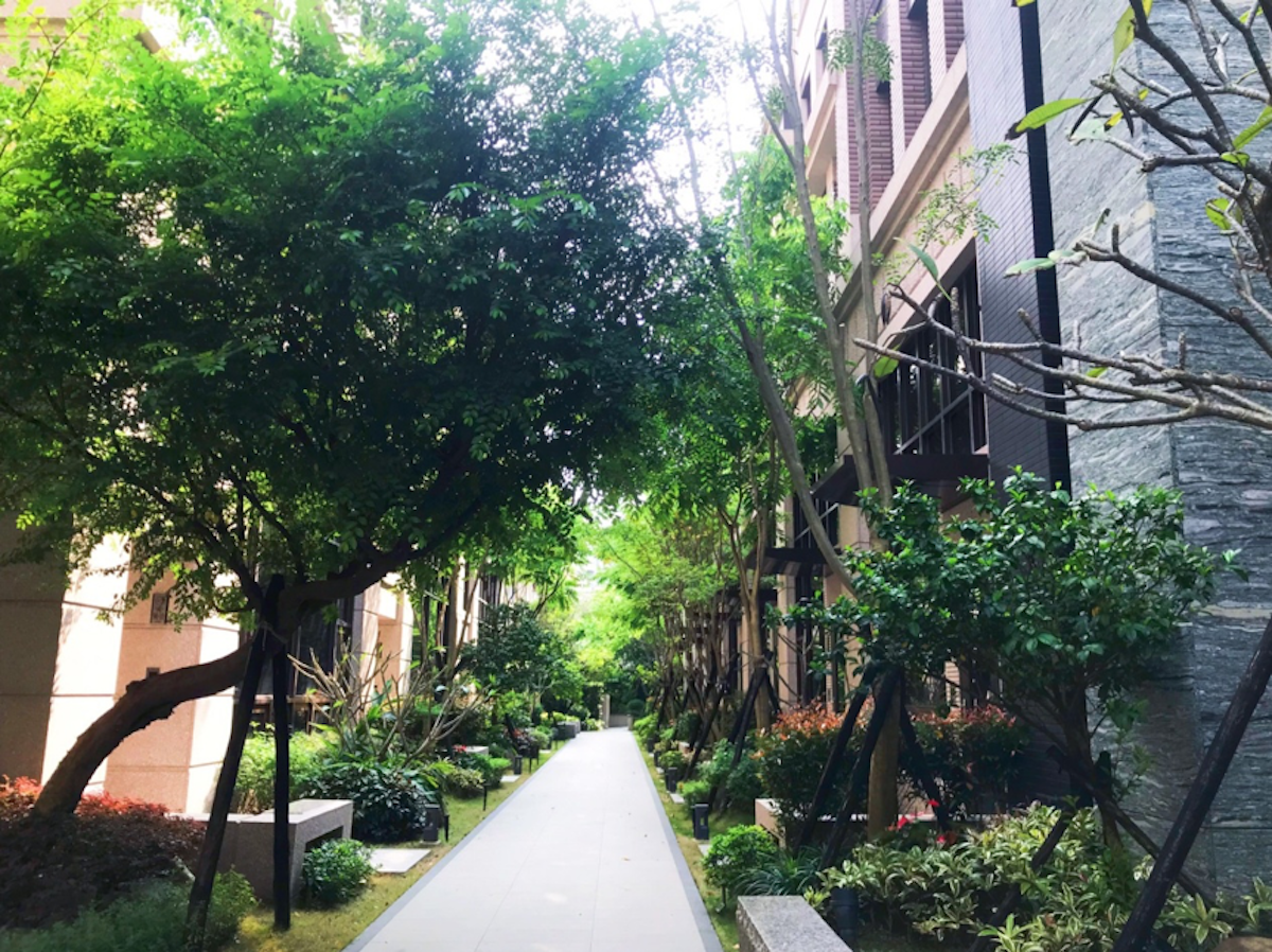  ▲該建案千坪原生種植栽中庭，加上垂直綠化植生牆，為社區隔絕霧霾並提供乾淨好空氣。(圖/公關照片)