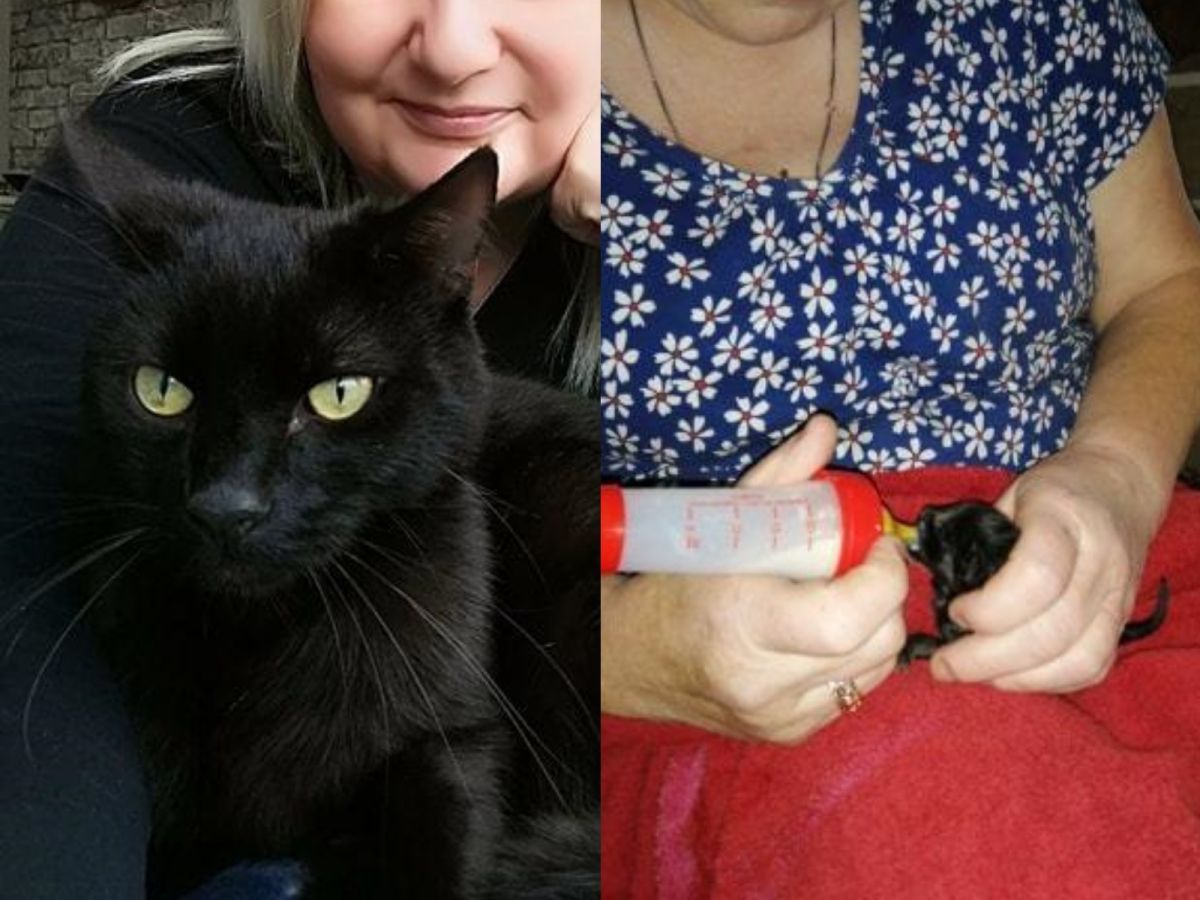 隔天清晨天還未亮，莎拉被Ozzy的叫聲吵醒，牠的叫聲很奇怪，像是發生什麼很嚴重的事。 (圖/South Wales Argus)