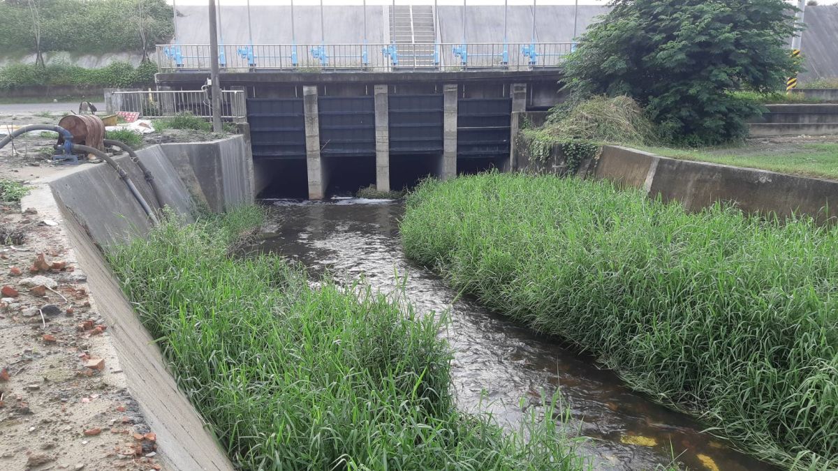 ▲偵查隊員路過斗南新崙堤防1+585處水門目睹發現鱷蹤。（圖／記者簡勇鵬攝，2019.05.22）