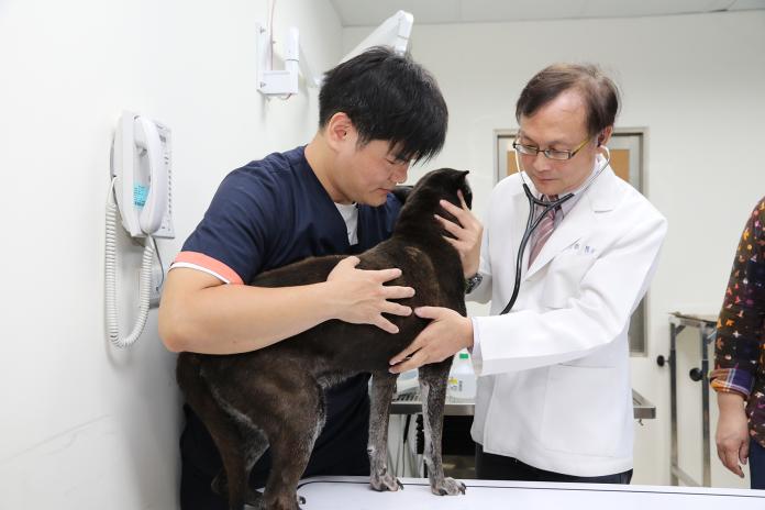 浪孩醫療困境有解　中興大學成立首座流浪犬貓醫療室
