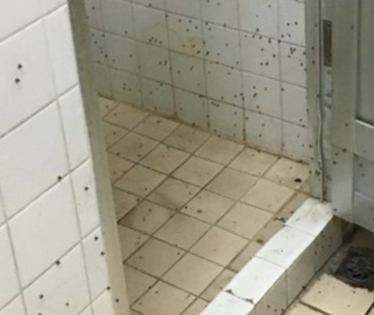 ▲一個兵要去廁所上大號，卻突然從廁所傳出「淒厲慘叫」，讓他趕緊帶兵衝進去一看，結果竟然是「坐到大便」，讓他哭笑不得。（示意圖／翻攝自爆料公社)