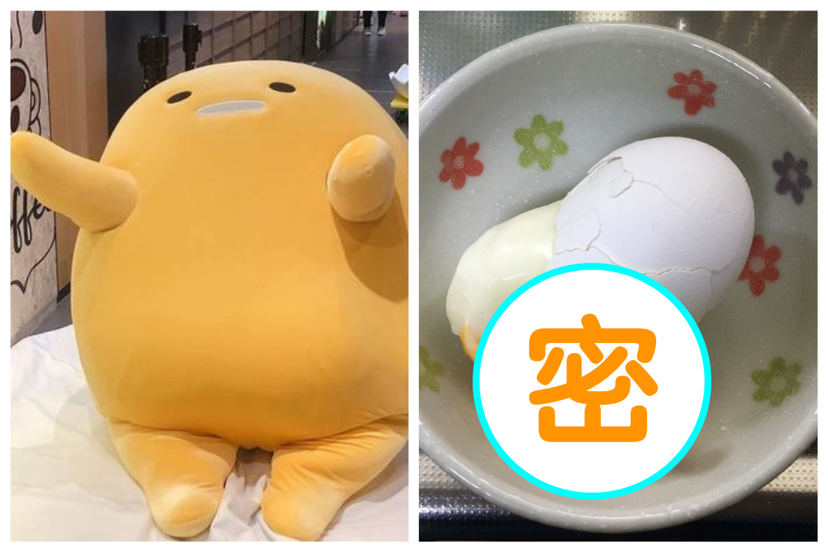 ▲日本推特一名網友煮出「蛋黃哥」。（合成圖／NOWnews／翻攝自推特）