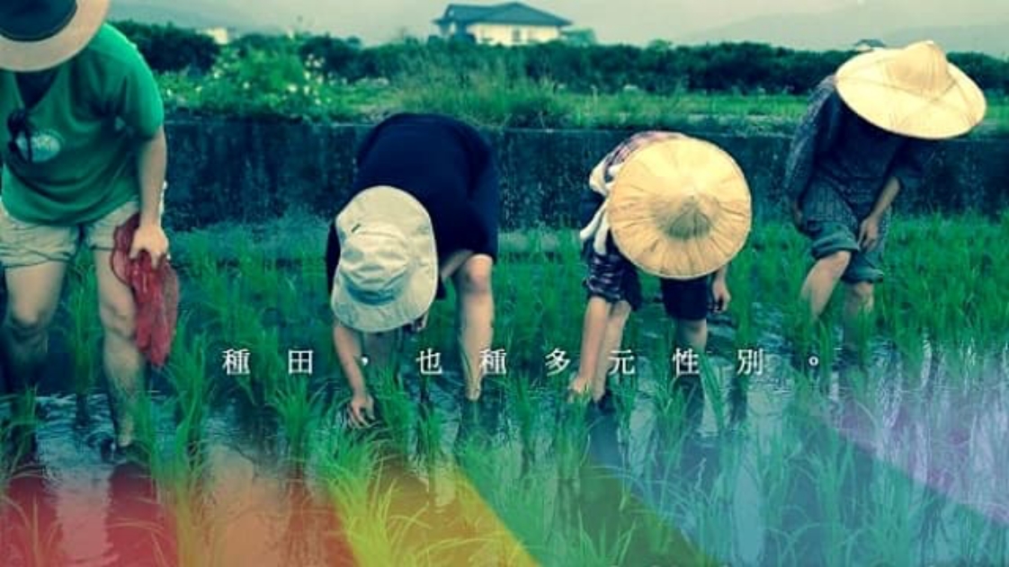 ▲台灣的農村普遍不重視也不鼓勵「自我表達」，反而覺得努力工作、好好賺錢遠比探索自己、追尋認同重要。（圖／農傳媒提供）