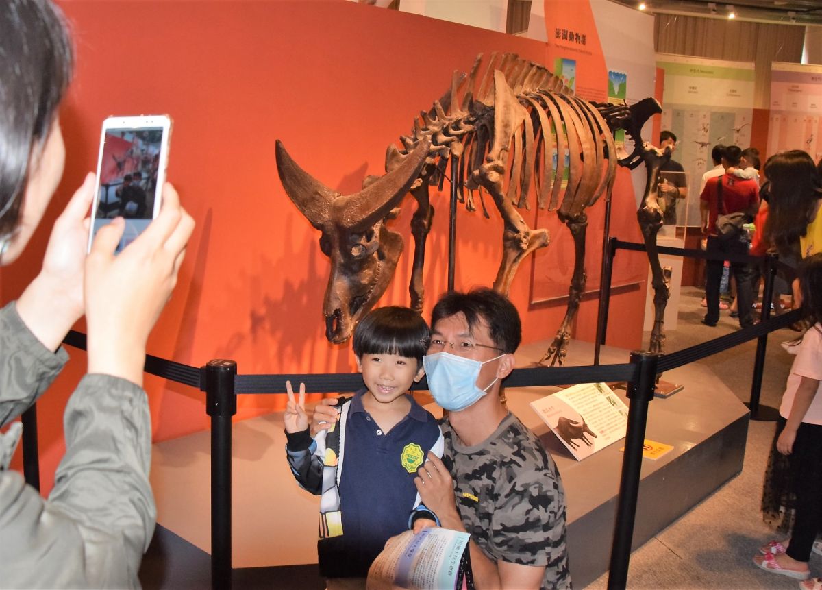 ▲澎湖文化局生活博物館「史前巨獸-古生物特展」，吸引數百位家長帶著小朋友一探古生物奧妙。（圖／記者張塵攝，2019.05.25）