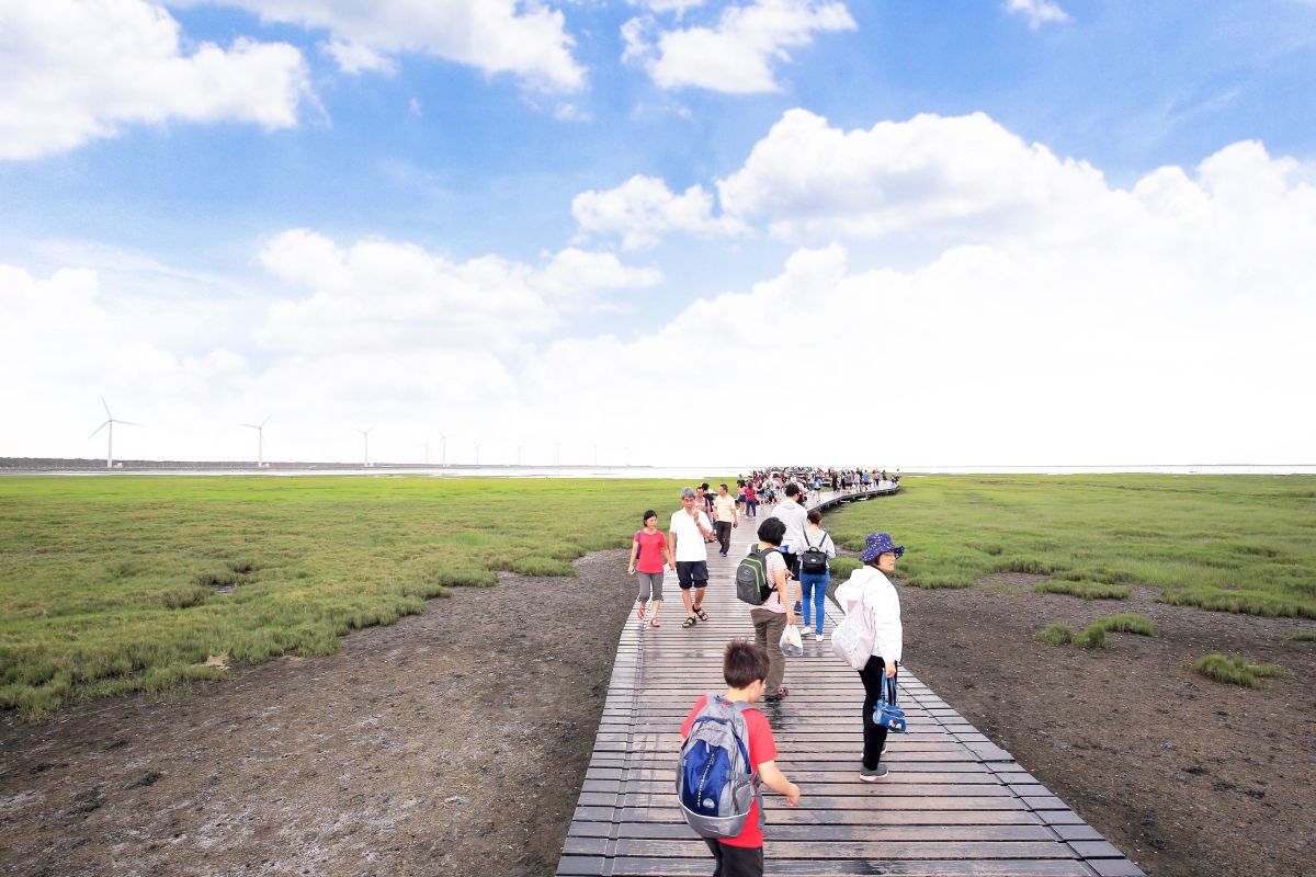 ▲為讓民眾深入了解高美濕地的生物多樣性，中市府農業局舉辦「108年高美濕地生態導覽之旅」。 (圖／農業局提供2019.5.26)