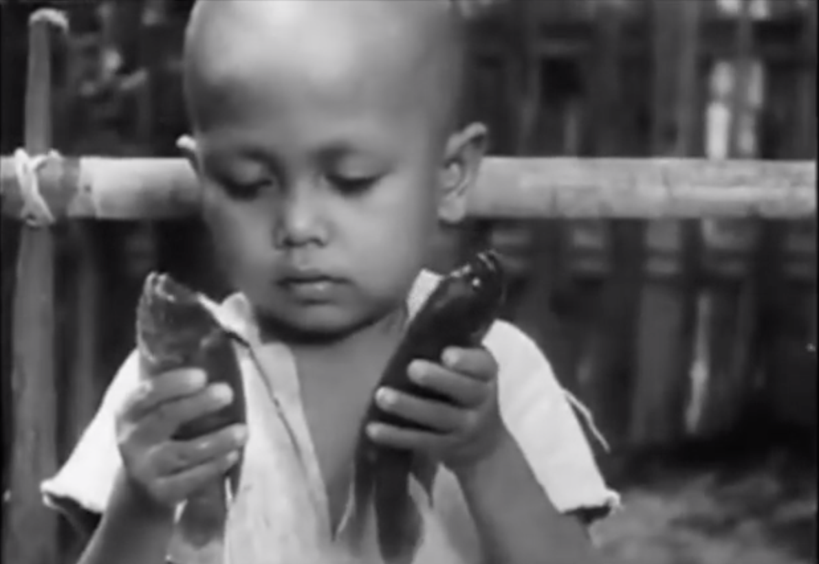 ▲台灣人對吳郭魚並不陌生，但最早的吳郭魚其實是外來種。（圖／翻攝臉書影片）