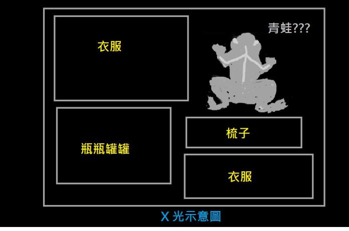 ▲女網友表示有次在美國洛杉磯的機場，將行李送進 X 光機檢驗卻被攔下，安檢人員好奇詢問「為什麼妳的箱子裡有青蛙？」並要求開箱檢查，真相曝光後讓網友瞬間笑翻。（圖／翻攝自 Dcard ）