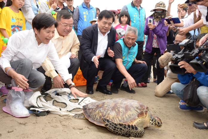 野放18隻海龜回大海　澎嵵裡沙灘保育一起來
