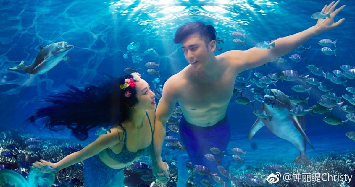 ▲鍾麗緹被網友批評是「戀愛腦」，她做出回應。（圖／翻攝微博）
