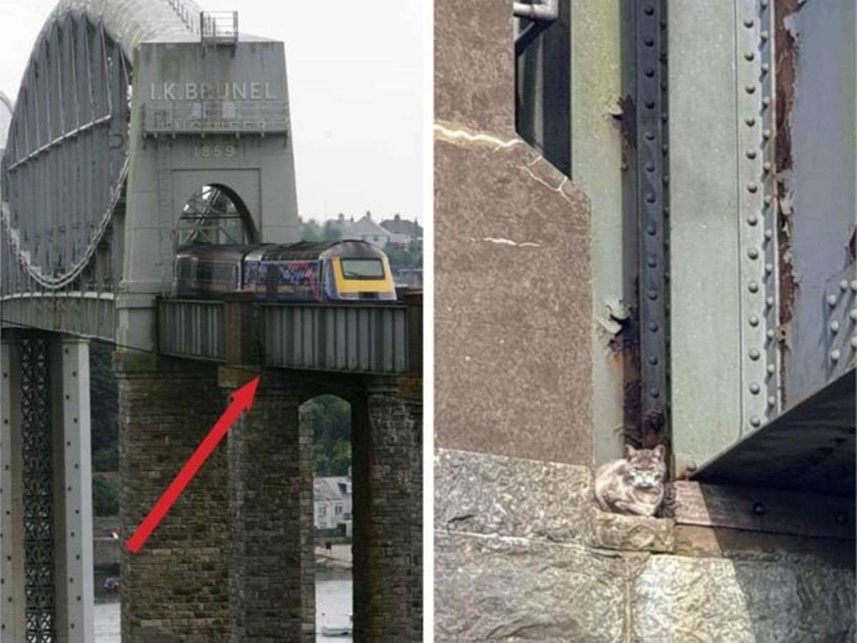 主人豪頓說：「我想海蒂是穿過救援人員和各大媒體，若無其事地走回家吧！」 (圖/Metro)