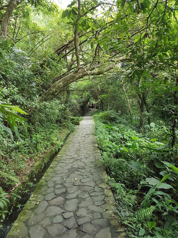 「白石腳步道」前段緩坡，地上鋪著石板，兩側溝渠流水潺潺，沿途綠蔭盎然