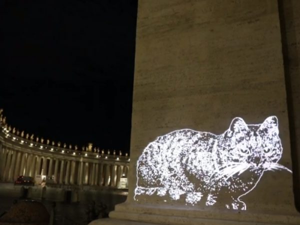 紀念碑上的光雕貓（圖／翻攝自Youtube@Daivd Harper）