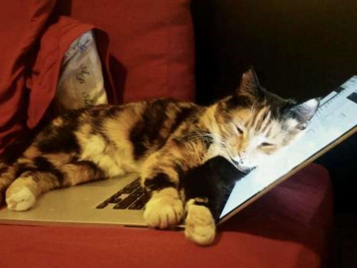 這個溫度剛剛好～舒服舒服～(圖/Jessica Schleider) 