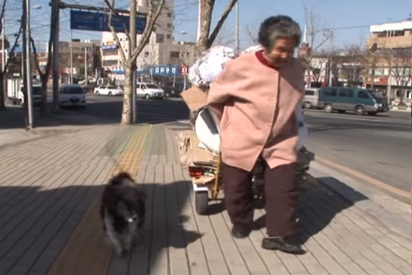 Kkamdol每天以三隻腳跳躍的走路方式陪老奶奶四處做資源回收（圖／Youtube@Kritter Klub）