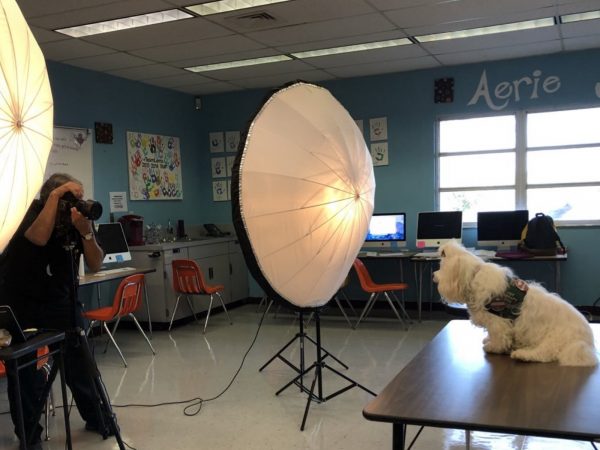 如今事件過後一周年，全校師生為了感謝治療犬的幫忙，在學年紀念冊上特別刊出每隻治療犬的照片，感謝牠們的幫忙！ (圖/Twitter@Aerie Yearbook‏) 