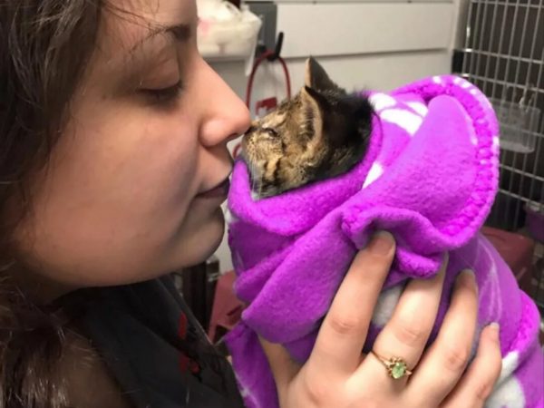 瑪麗亞說：「牠是一隻普通的可愛小貓，只是少了一隻眼睛，希望牠復原之後找到一個舒適溫暖的家。」 (圖/Chatons Orphelins Montréal) 