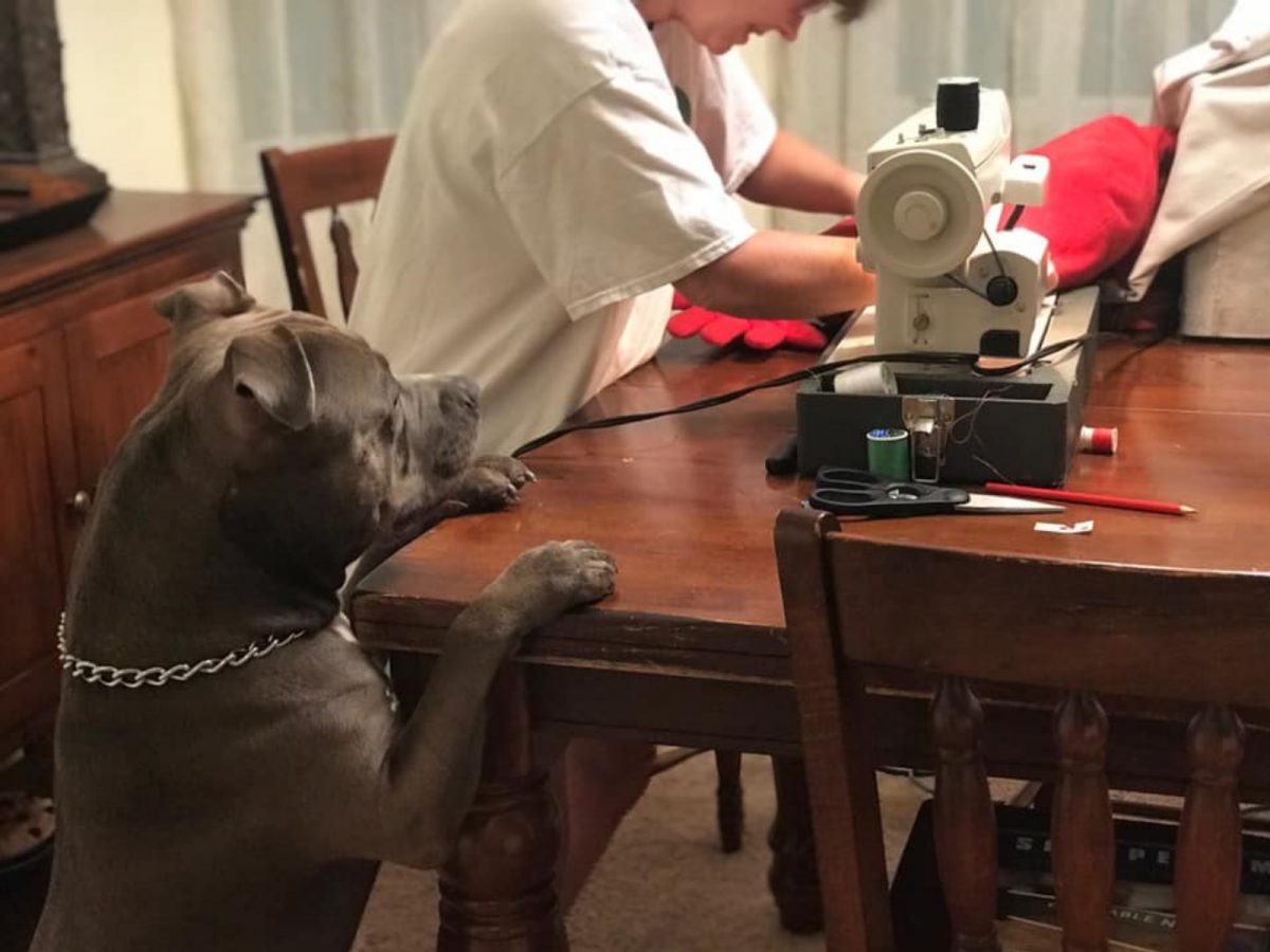 O’Cain說：「德拉克一直把頭湊過去，手掌也不停地抓著桌子，就是希望能離愛心枕頭越近越好，根本就是在看妻子做手術！」 (圖/Allie O’Cain) 