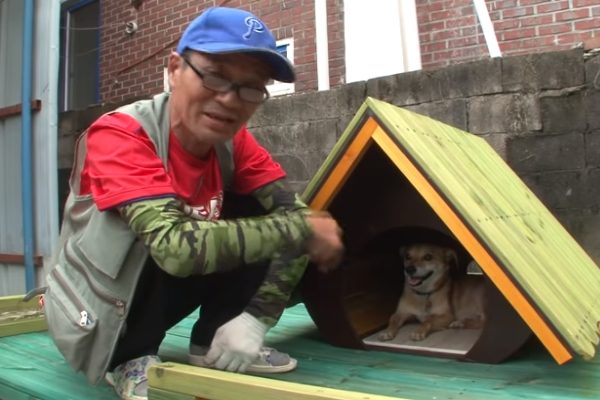 除了有善心民眾捐款幫忙重建家園，Ddol也獲得一間新的特製狗屋！（圖／翻攝自Youtube@Kritter Klub）