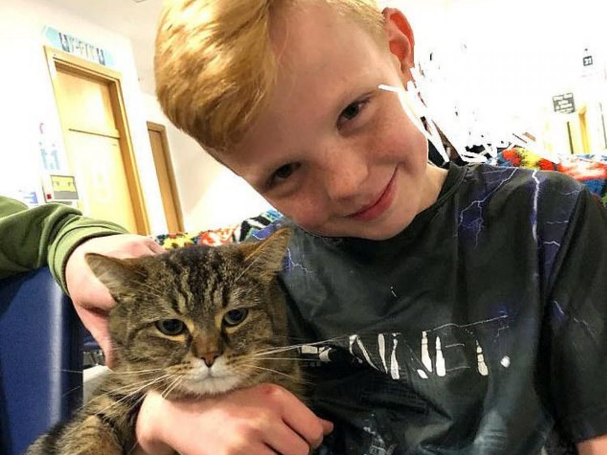 但是皮特說：「我非常感謝Kolo，願意在漫長的等待時間裡，很有耐心地陪伴里歐，牠真的跟其他的貓咪很不一樣。」 (圖/SWNS) 