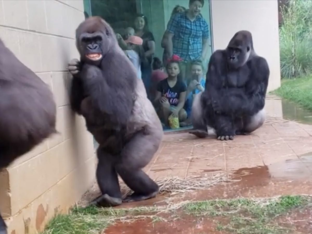 我不要滴到水、不要滴到水，啊啊……滴到了…… (圖/Facebook@Brooke Hunsinger) 