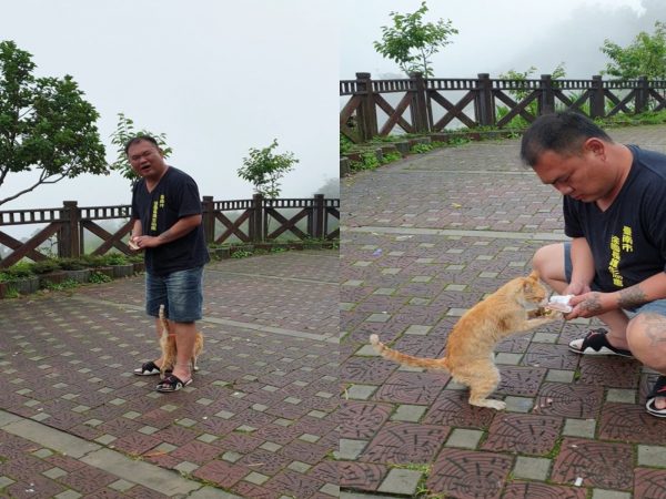 徐文良在奮起湖的一處停車場巧遇親人小橘貓，貓咪萌力全開，把他逗得笑呵呵。（圖／翻攝自徐園長（徐園長護生園））