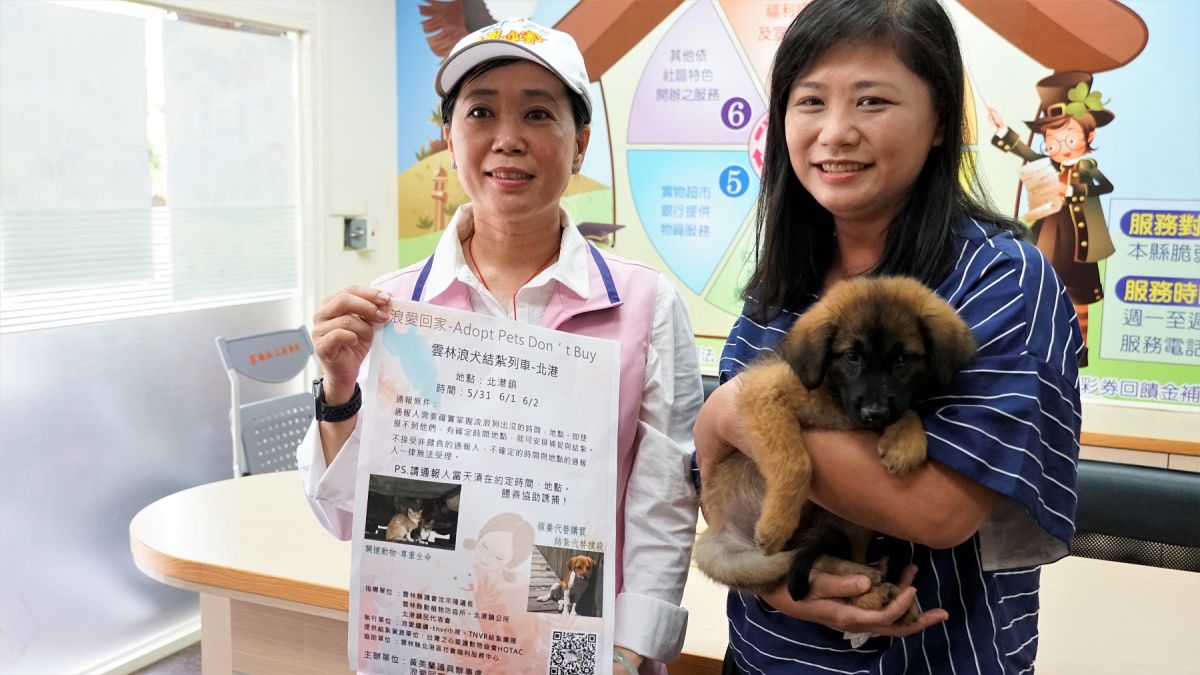 ▲縣議員黃美蘭結合民間志工團體，免費誘捕犬貓結紮。（圖／記者蘇榮泉攝，2019.06.02）