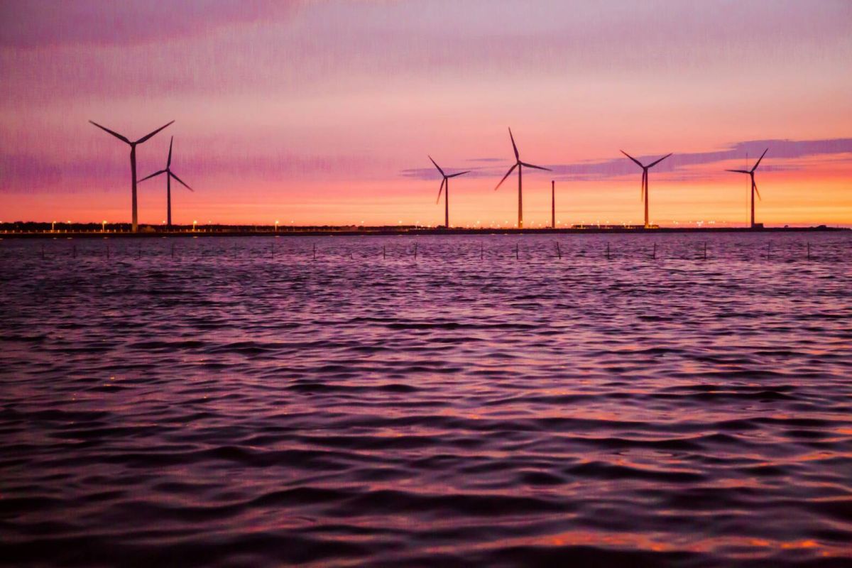 ▲高美溼地 (圖／觀光局提供2019.6.3)