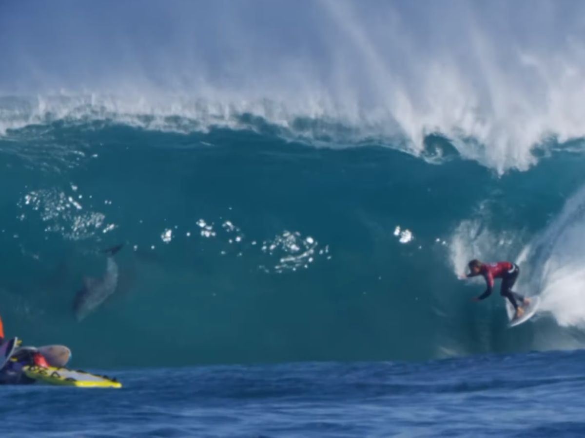 帶著海豚們的祝福，科芬也打敗了競爭對手進入下一輪的比賽！(圖/Youtube@SurferToday.com)