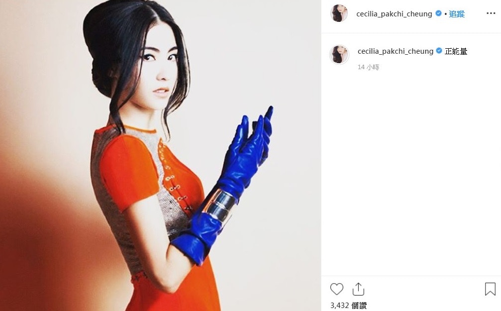 ▲張柏芝終於不忍了。（圖／翻攝張柏芝IG）