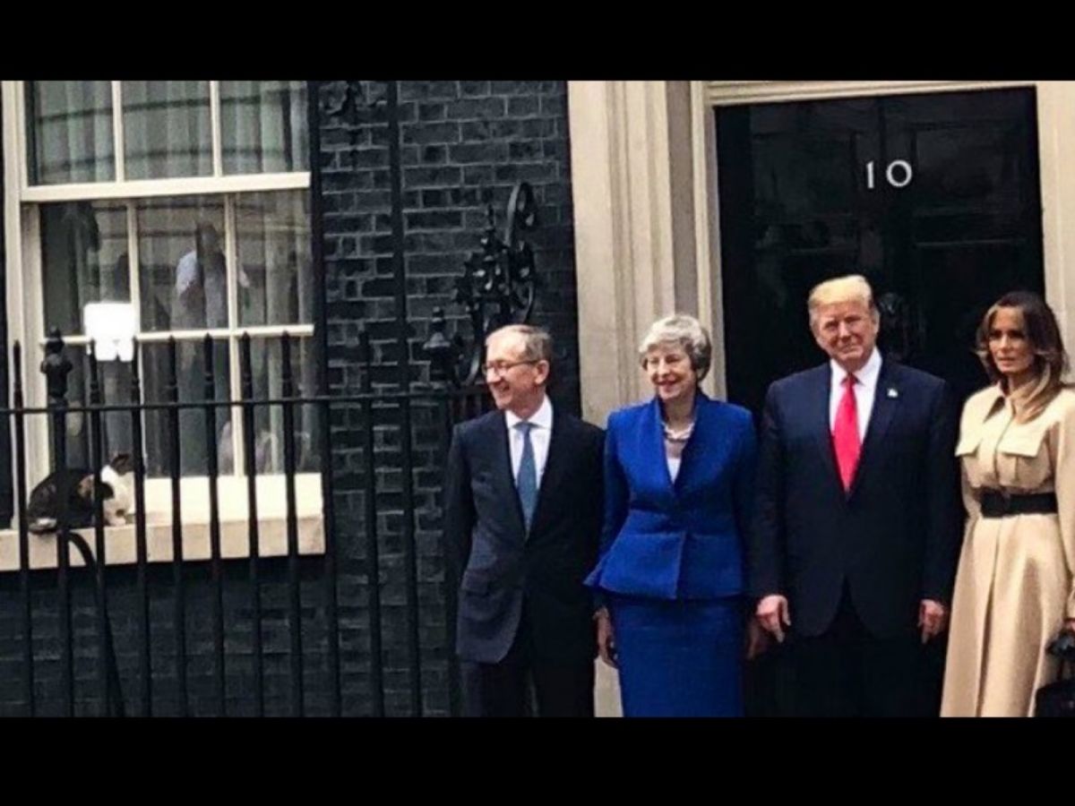 賴瑞正坐在窗台上，看著梅伊與川普互相問候，偷偷策劃著等等的計謀。 (圖/Twitter@Number10cat)