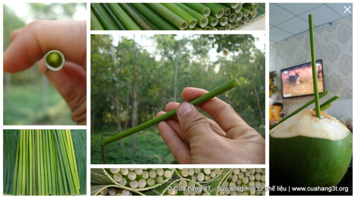 ▲越南公司研發出零廢棄汙染的吸管。（圖／翻攝自 Ống Hút Cỏ. 網站）