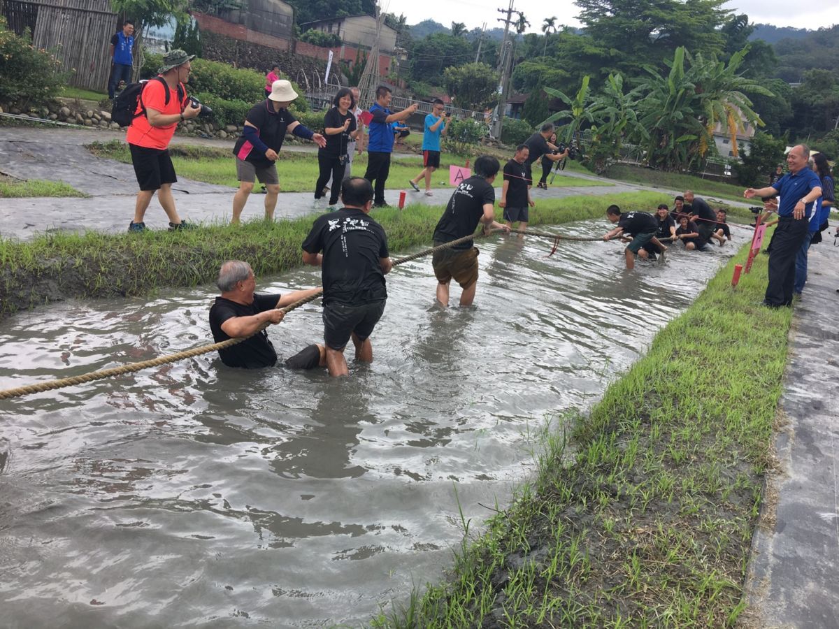 ▲二水鄉源泉社區發展協會將舉辦黑泥田拔河比賽，踩在黑色水田上，一不小心就踩滑，跌入黑泥裡。（圖／記者陳雅芳攝，2019.06.07）