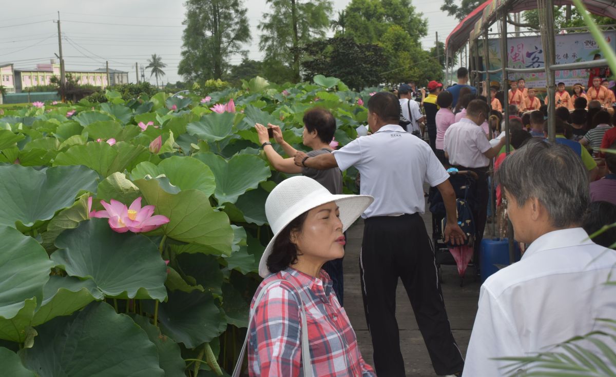 ▲沐心荷園音樂會，吸引人潮賞荷聽音樂。（圖／記者郭春輝攝，2019.06.08）
