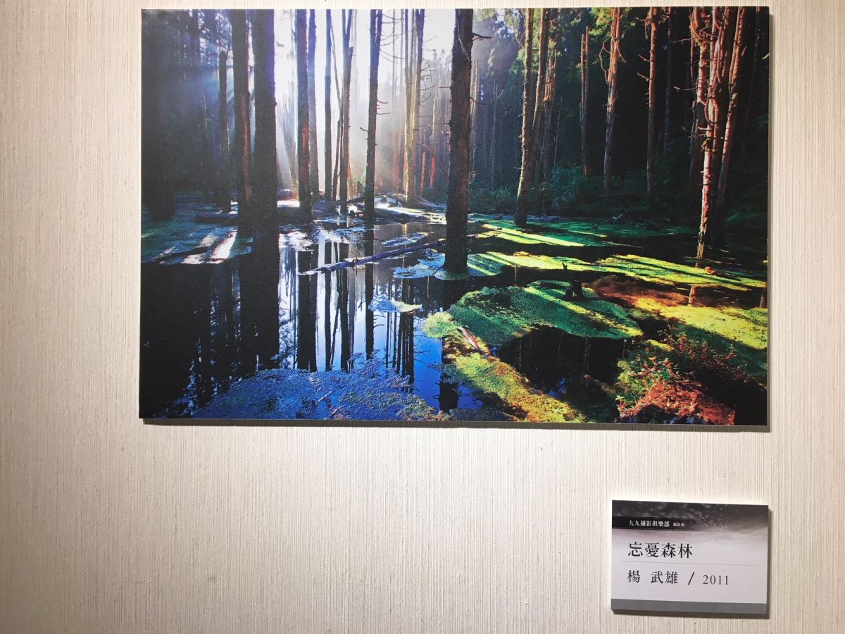 ▲作品都是攝影家用影像記錄生活中的見聞，透過鏡頭描述內心最美麗的風景。（圖／記者陳雅芳攝，2019.06.09）