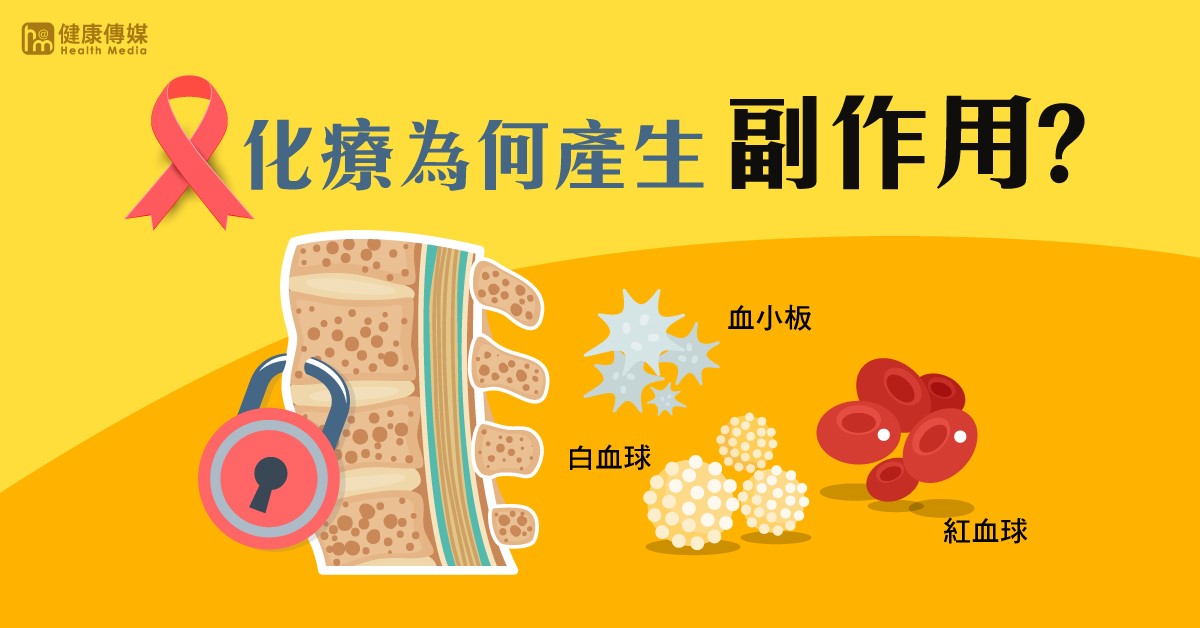 ▲化療產生副作用，主要是因為體內受到化療藥物影響，造成骨髓抑制，使白血球、血紅素、血小板不足。（圖／健康傳媒製作）